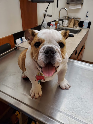 Pet Supply Store «PetSmart», reviews and photos, 8660 Airline Hwy, Baton Rouge, LA 70815, USA