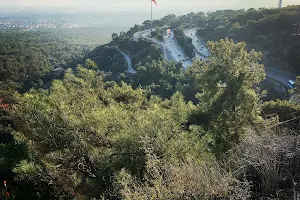 Antalya City Forest image