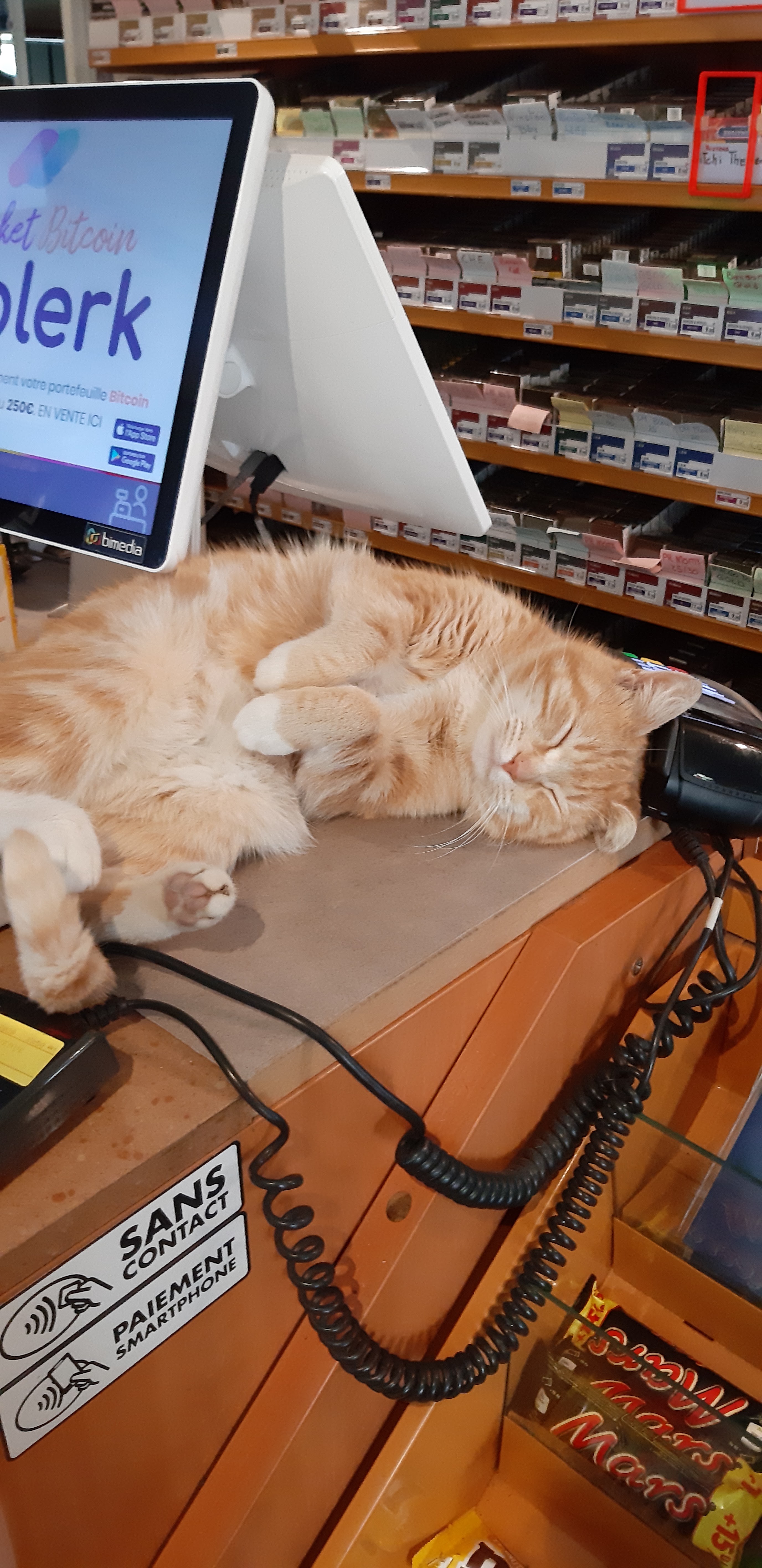 Photo n° 1 de l'avis de Nina. fait le 18/04/2020 à 17:59
