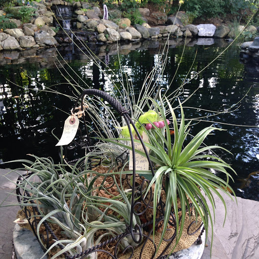 Gift Shop «Pondering Creations Farm», reviews and photos, 101 Allen St, Terryville, CT 06786, USA