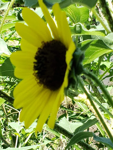 Park «Rainbow Hills Park», reviews and photos, 528 Rasa Dr, San Antonio, TX 78227, USA