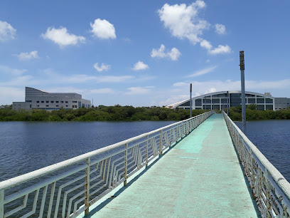 Laguna del Carpintero