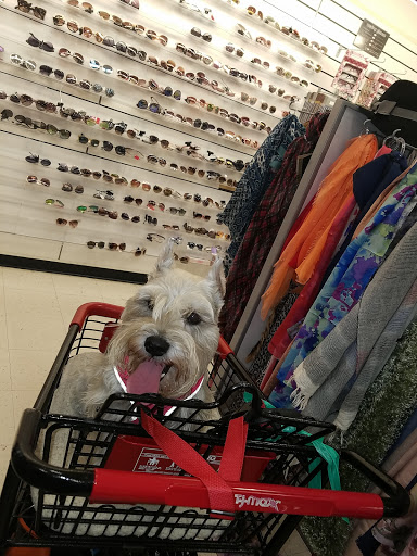 Department Store «T.J. Maxx», reviews and photos, 30805 Thousand Oaks Blvd, Westlake Village, CA 91362, USA