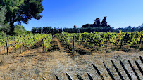 Photos du propriétaire du Leah Wine Cave à vins & Restaurant à Tourrettes-sur-Loup - n°3