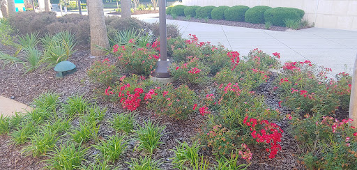 Outlet Mall «Tanger Outlet Myrtle Beach Hwy 17», reviews and photos, 10835 Kings Rd, Myrtle Beach, SC 29572, USA