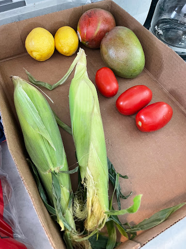 Produce Market «Poor Boys Produce & Vegetable», reviews and photos, 263 US-158, Camden, NC 27921, USA