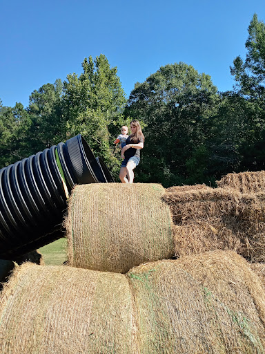 Tourist Attraction «Still Family Farm, LLC», reviews and photos, 5630 Macland Rd, Powder Springs, GA 30127, USA