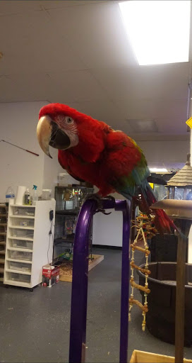Pet Store «Off The Hook Exotics Pet Shop», reviews and photos, 926 5th Ave, Coraopolis, PA 15108, USA