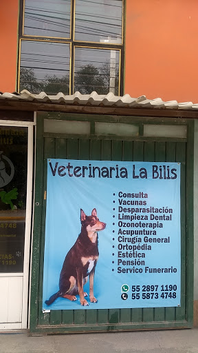 Veterinaria La Bilis