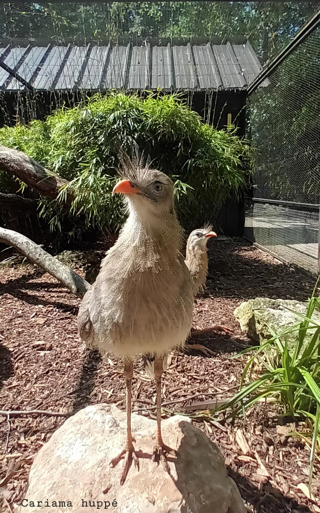 Photo n° 2 de l'avis de Veldeman.a fait le 27/05/2023 à 14:26