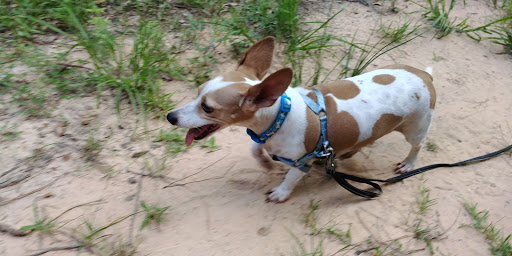 Park «Terramont Park», reviews and photos, 8500 Terramont Dr, The Woodlands, TX 77382, USA