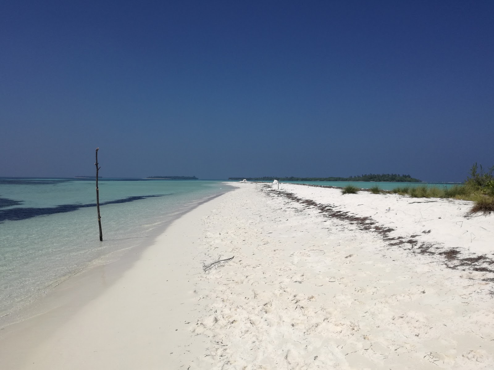 Photo de Molhadhoo Beach avec un niveau de propreté de très propre