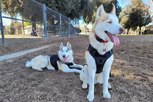 Modesto's First Dog Park image