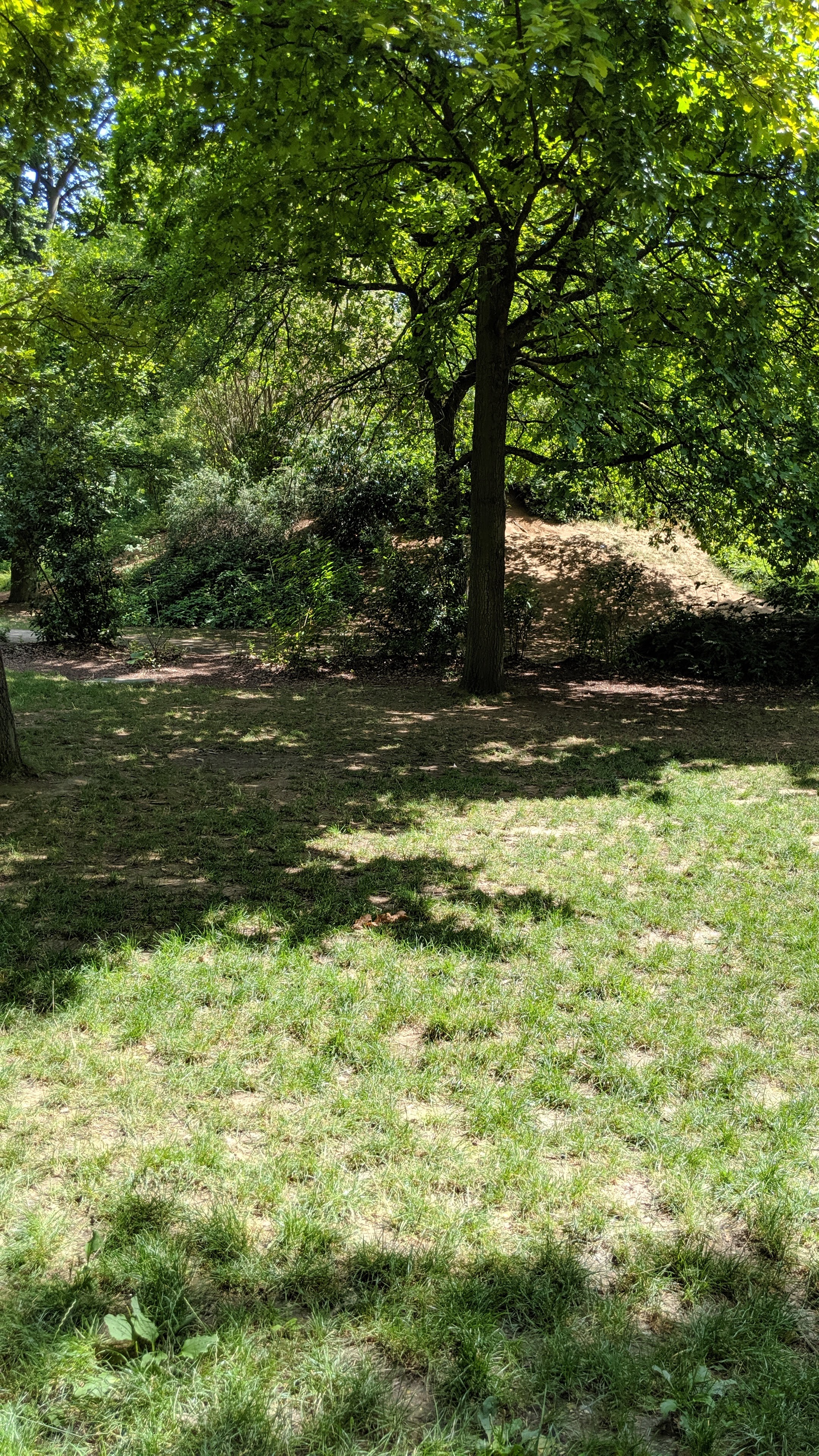 Photo n° 8 de l'avis de Jose.u fait le 28/07/2019 à 17:10