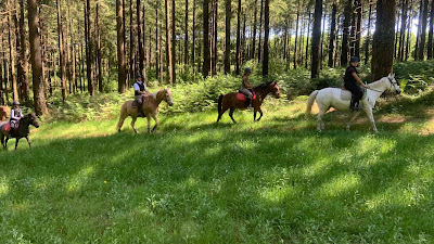 RENARDERIE EQUITATION à Noues de Sienne