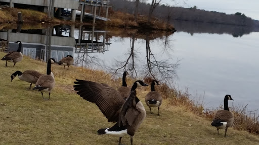 State Park «Riverfront State Park», reviews and photos, Everett St & Eaton St, Lawrence, MA 01843, USA