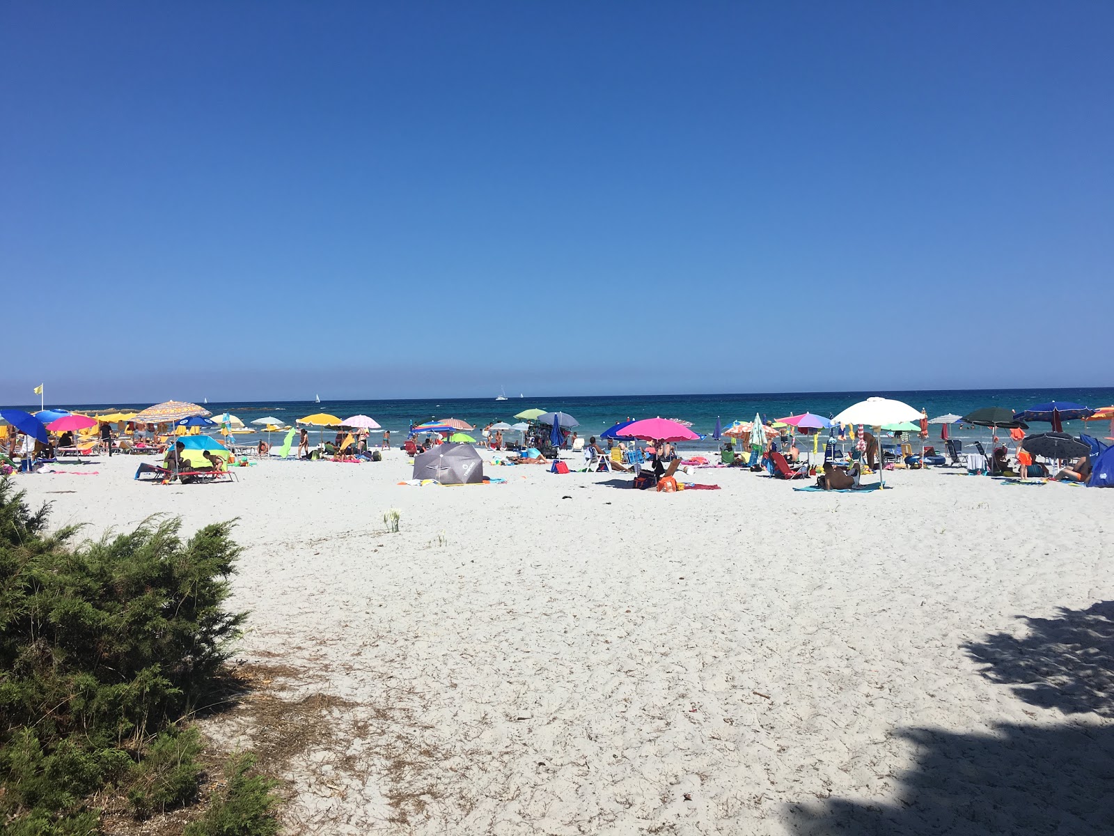 Foto de Praia Cala Ginepro - recomendado para viajantes em família com crianças