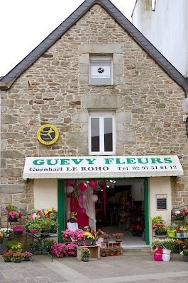Guévy Fleurs à Baud