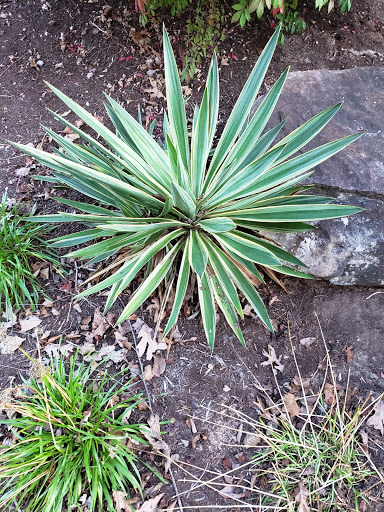 Entertainment «Chuckles», reviews and photos, 286 Chuckles Pkwy, Crossville, TN 38555, USA