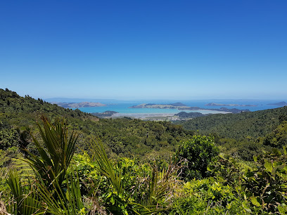 Kaipawa Trig Track