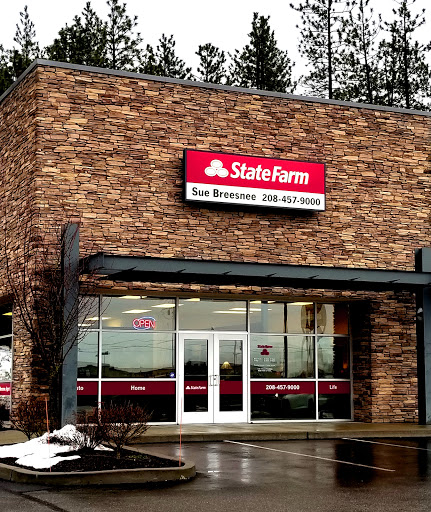 Insurance Agency «Sue Breesnee - State Farm Insurance Agent», reviews and photos