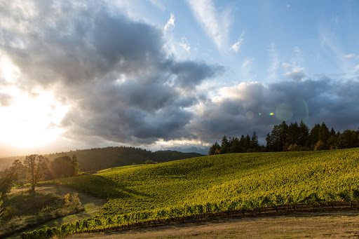 Winery «Elk Cove Vineyards», reviews and photos, 27751 NW Olson Rd, Gaston, OR 97119, USA