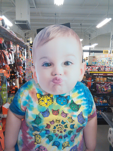 Discount Store «Dollar General», reviews and photos, 29 N Rd, Windsor, NY 13865, USA