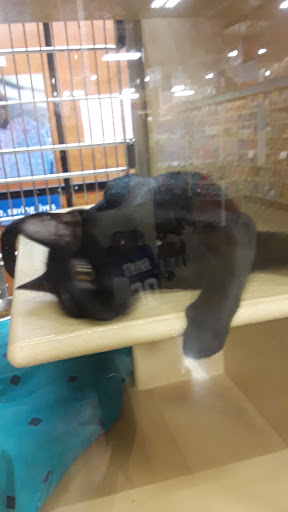 Shopping Mall «Hazleton Park Shopping Center», reviews and photos, 200 Weis Ln, West Hazleton, PA 18202, USA