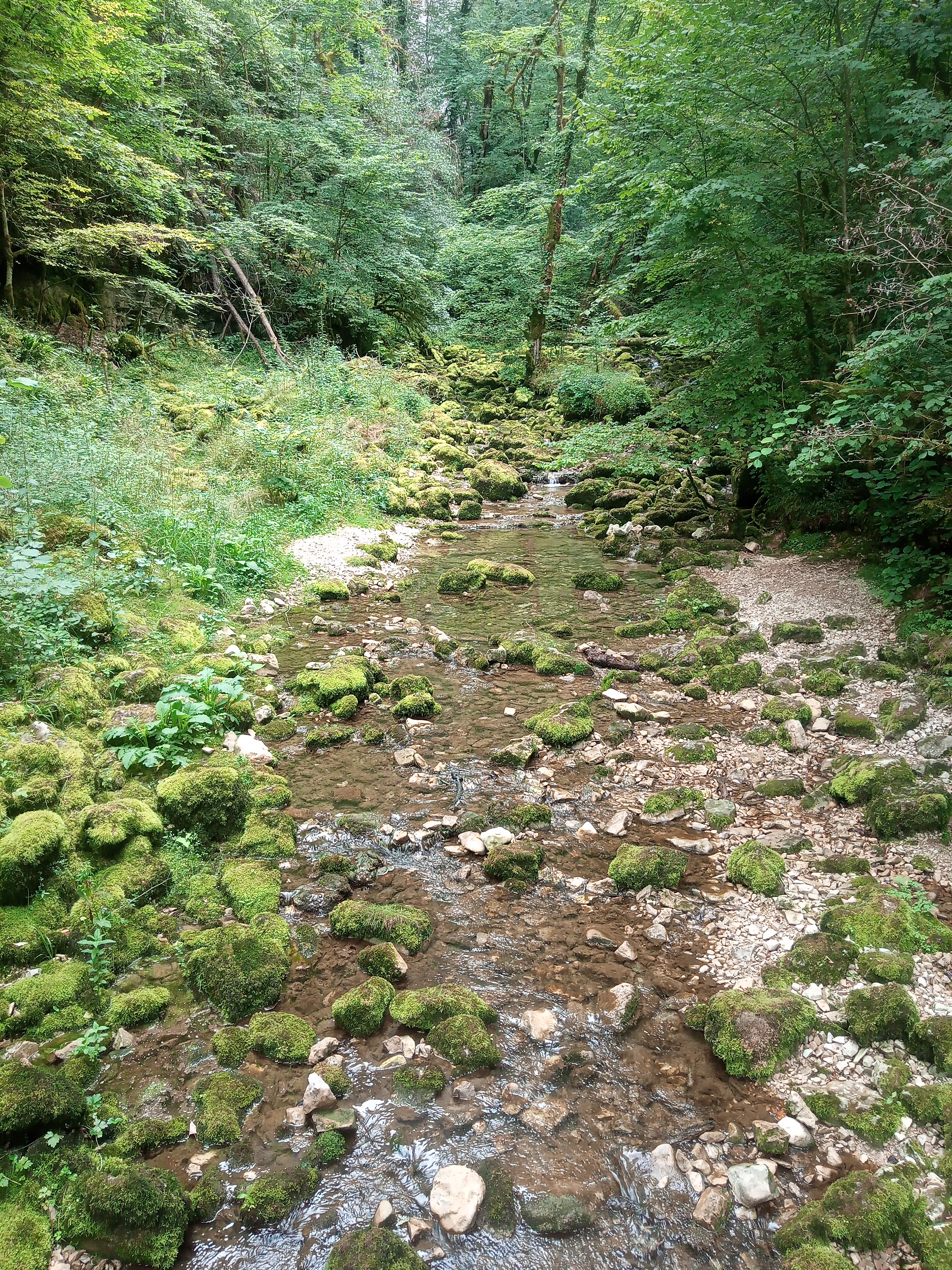 Photo n° 1 de l'avis de Maiva.o fait le 21/07/2023 à 16:07