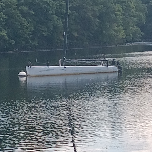 State Park «Cochituate State Park», reviews and photos, 43 Commonwealth Rd, Natick, MA 01760, USA