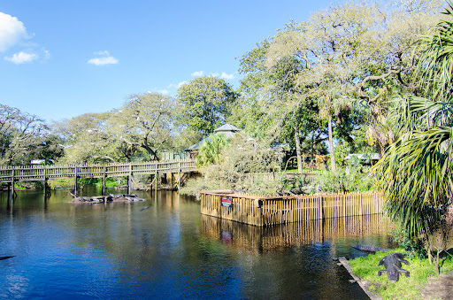 Zoo «St. Augustine Alligator Farm Zoological Park», reviews and photos, 999 Anastasia Blvd, St Augustine, FL 32080, USA