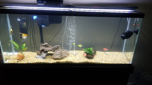 Pet Supply Store «Exotic Aquatic», reviews and photos, 275 E Oakland Park Blvd, Fort Lauderdale, FL 33334, USA