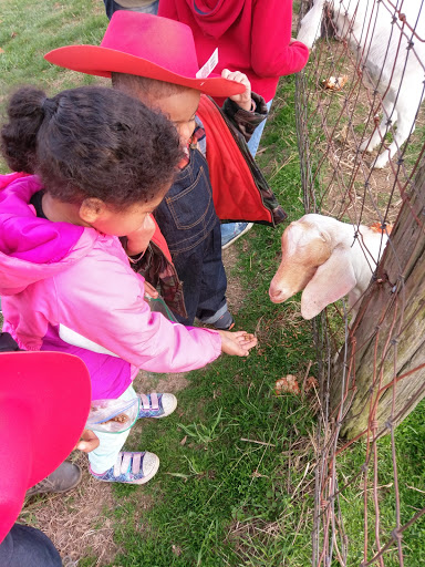 Tourist Attraction «Middleton Farm», reviews and photos, 13250 Cedar Hill Pl, Waldorf, MD 20601, USA