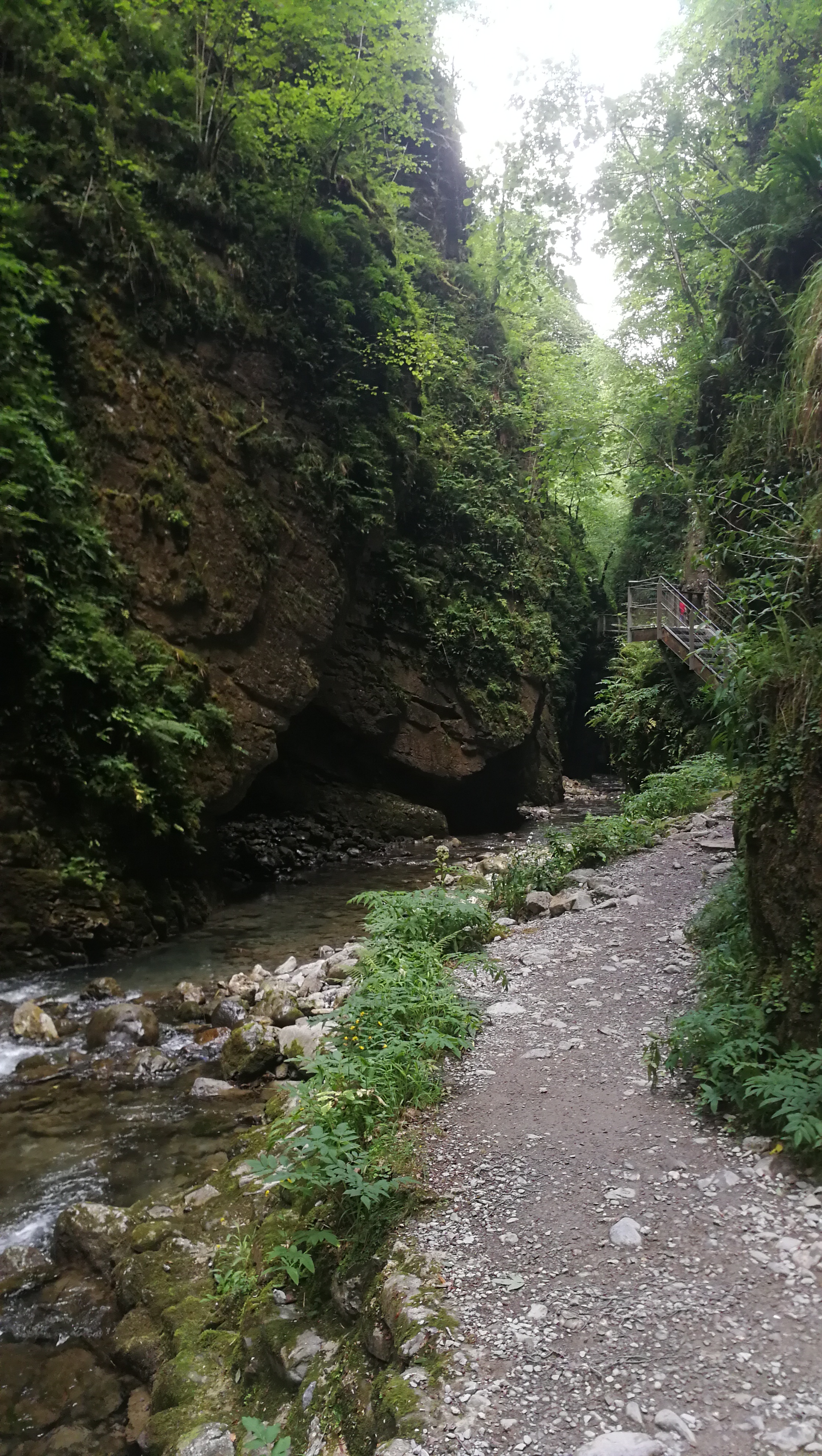 Photo n° 42 de l'avis de Corentin.t fait le 17/07/2019 à 21:16