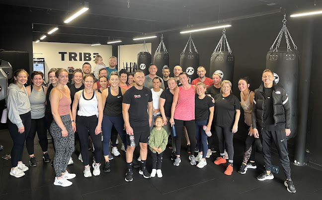 Tribe Boxing and Personal Training