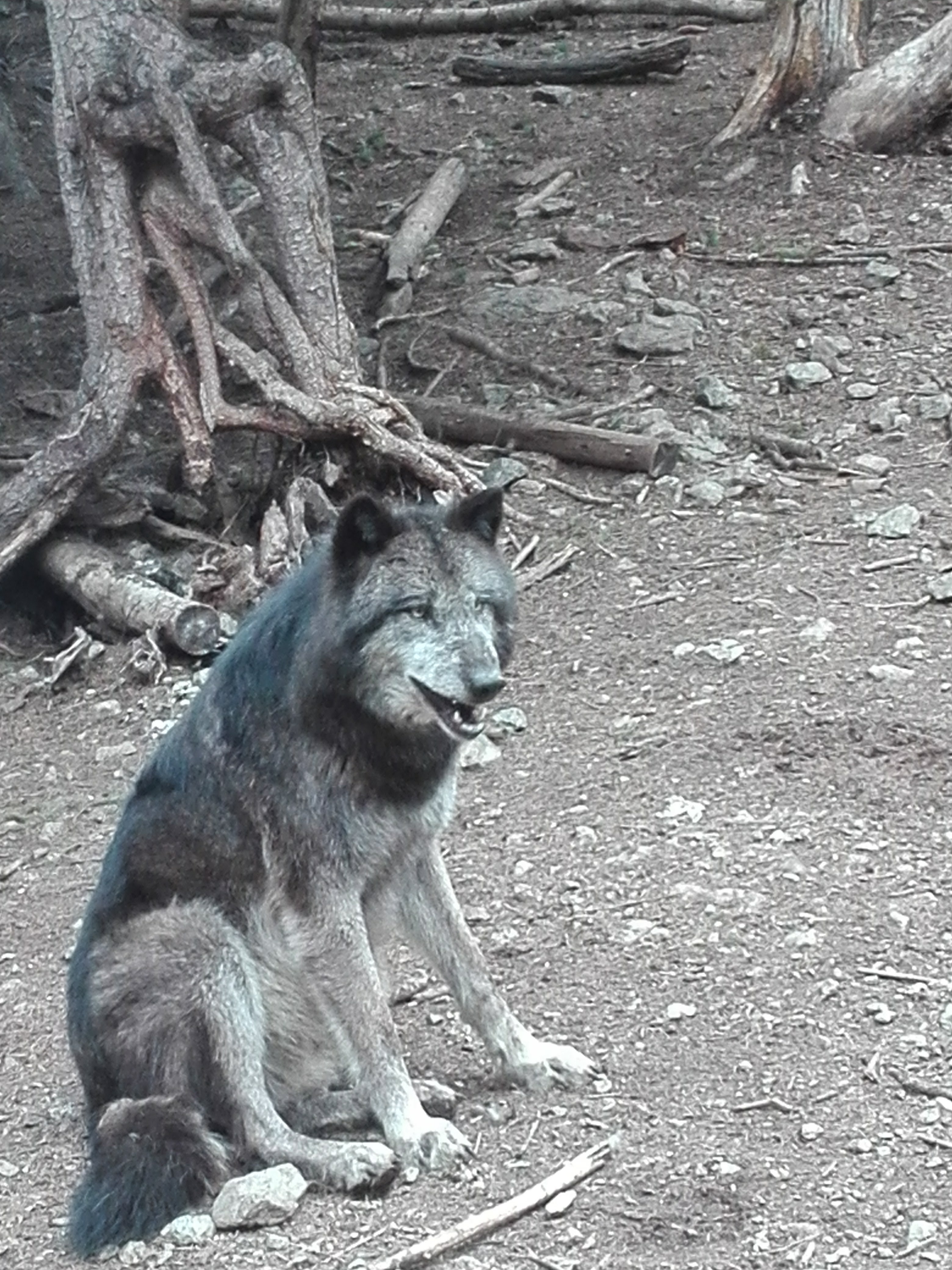 Photo n° 3 de l'avis de Victor.h fait le 01/05/2018 à 20:58