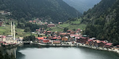 Aktivite Turizm (Trabzon Şube)