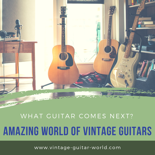 Vintage Guitar World