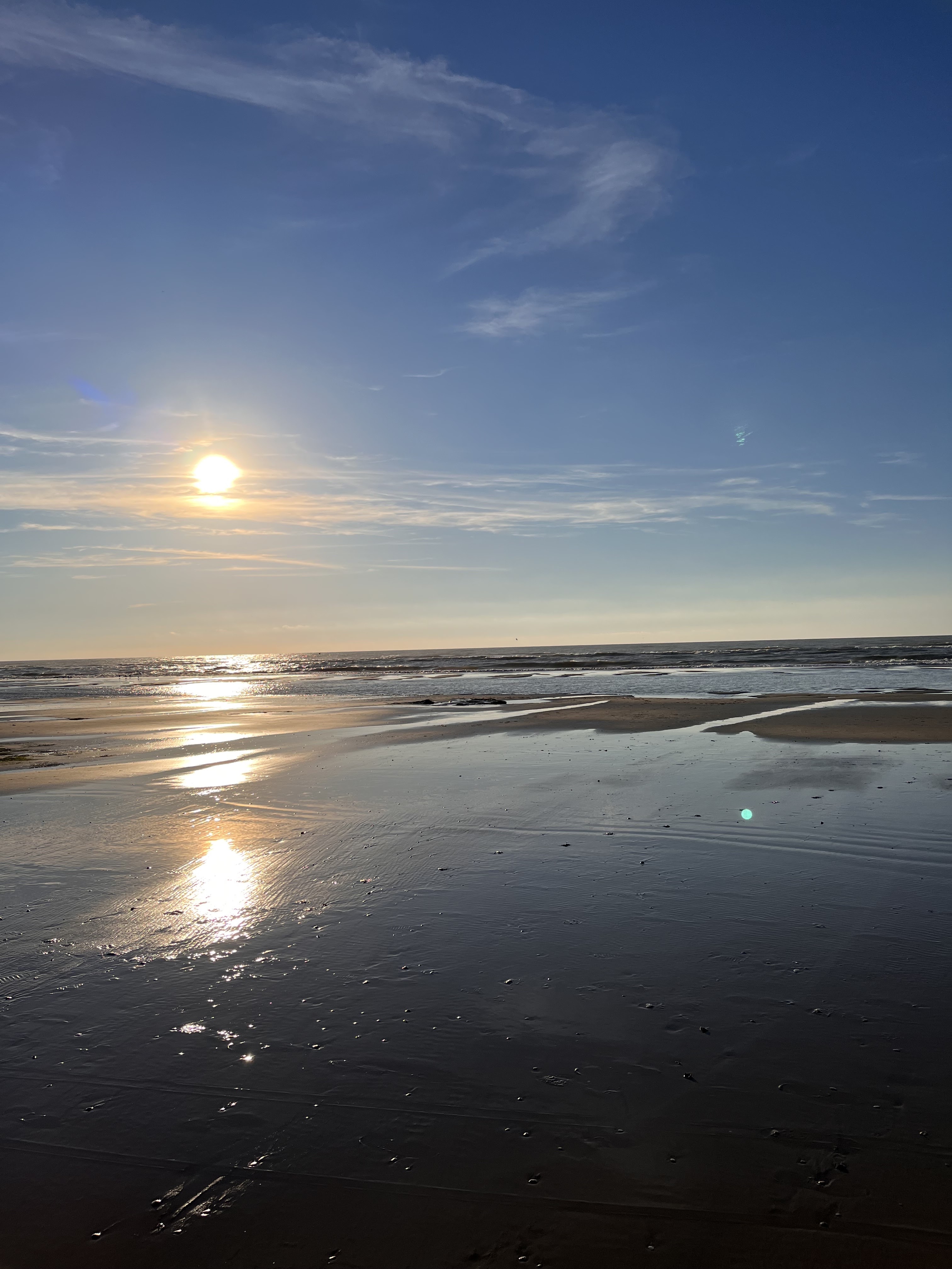 Photo n° 3 de l'avis de Maarten. fait le 13/11/2022 à 14:39