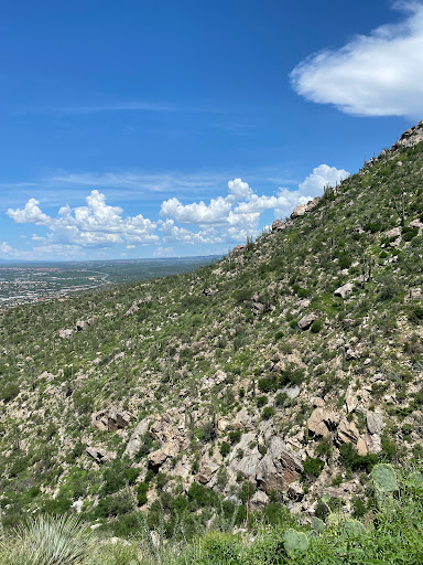 Tourist Attraction «Linda Vista Trail», reviews and photos, 730 E Linda Vista Rd, Oro Valley, AZ 85737, USA