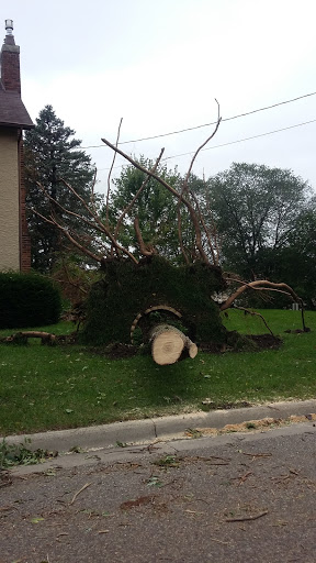 Canoe & Kayak Store «Cannon Falls Canoe and Bike Rental», reviews and photos, 615 N 5th St, Cannon Falls, MN 55009, USA