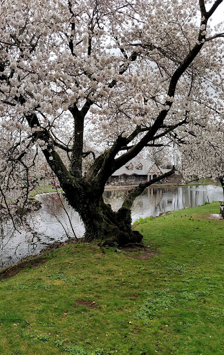 Park «Taylor Park», reviews and photos, 100 Main St, Millburn, NJ 07041, USA