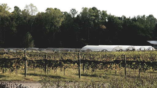 Winery «Saudé Creek Vineyards», reviews and photos, 16230 Cooks Mill Rd, Lanexa, VA 23089, USA