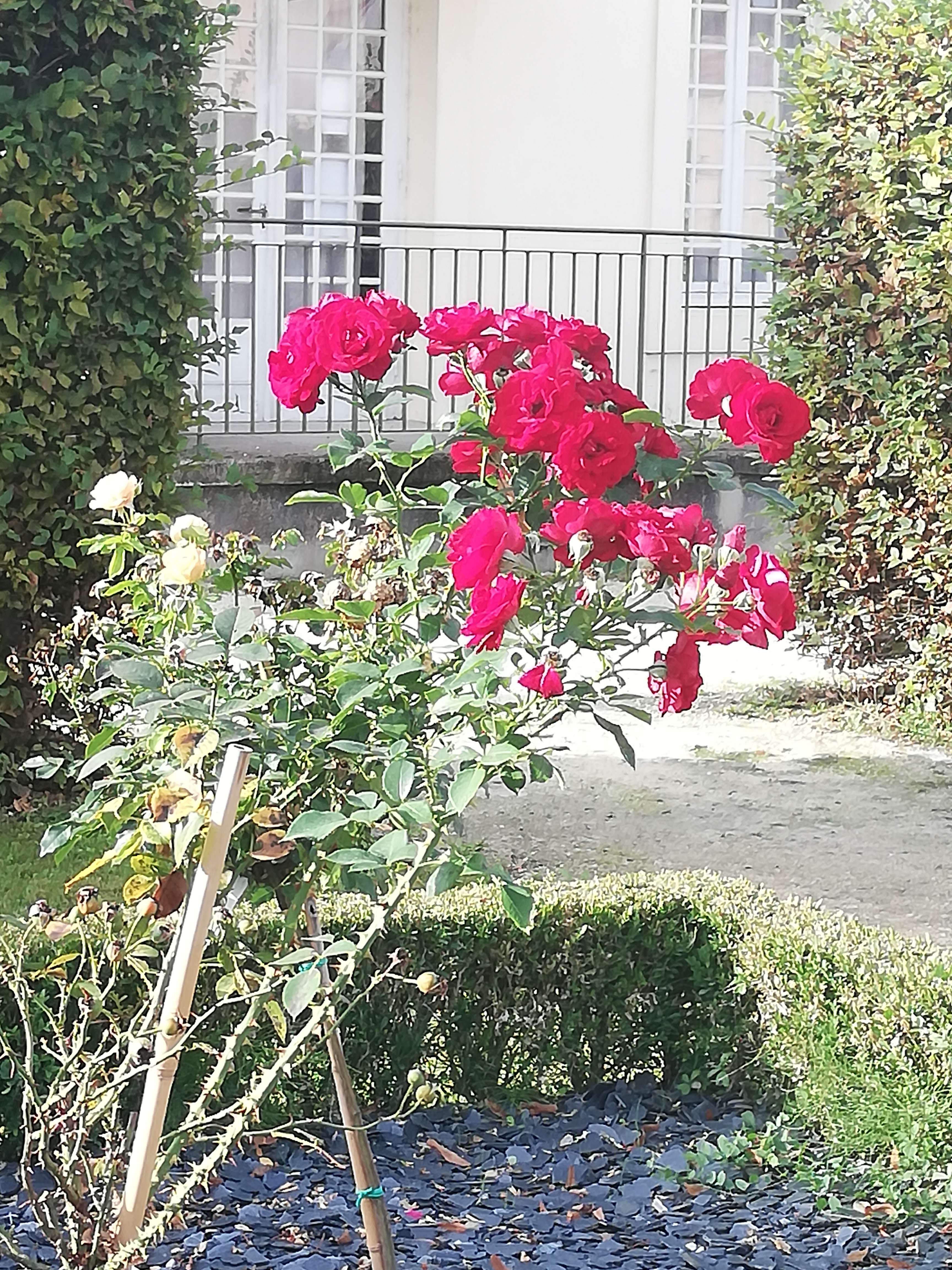 Photo n° 19 de l'avis de Elma. fait le 04/10/2021 à 01:45