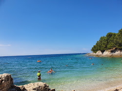 Photo de Gortan's Cove et le règlement