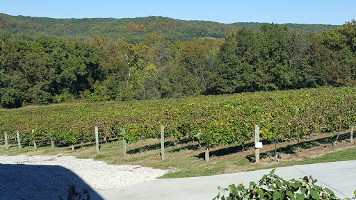 Vineyard «Noboleis Vineyards», reviews and photos, 100 Hemsath Rd, Augusta, MO 63332, USA