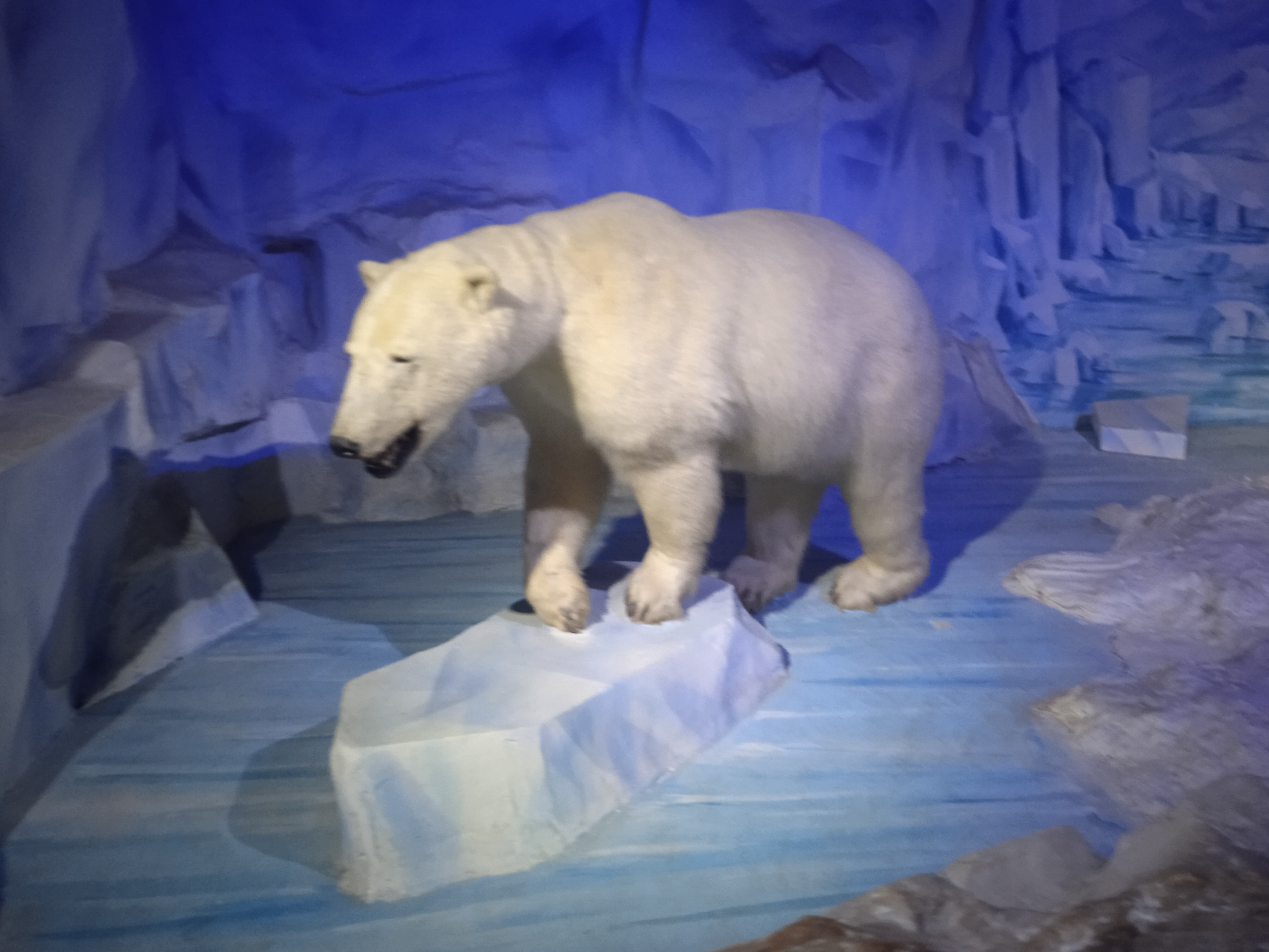 Photo n° 26 de l'avis de Gamer.p fait le 04/06/2022 à 18:21