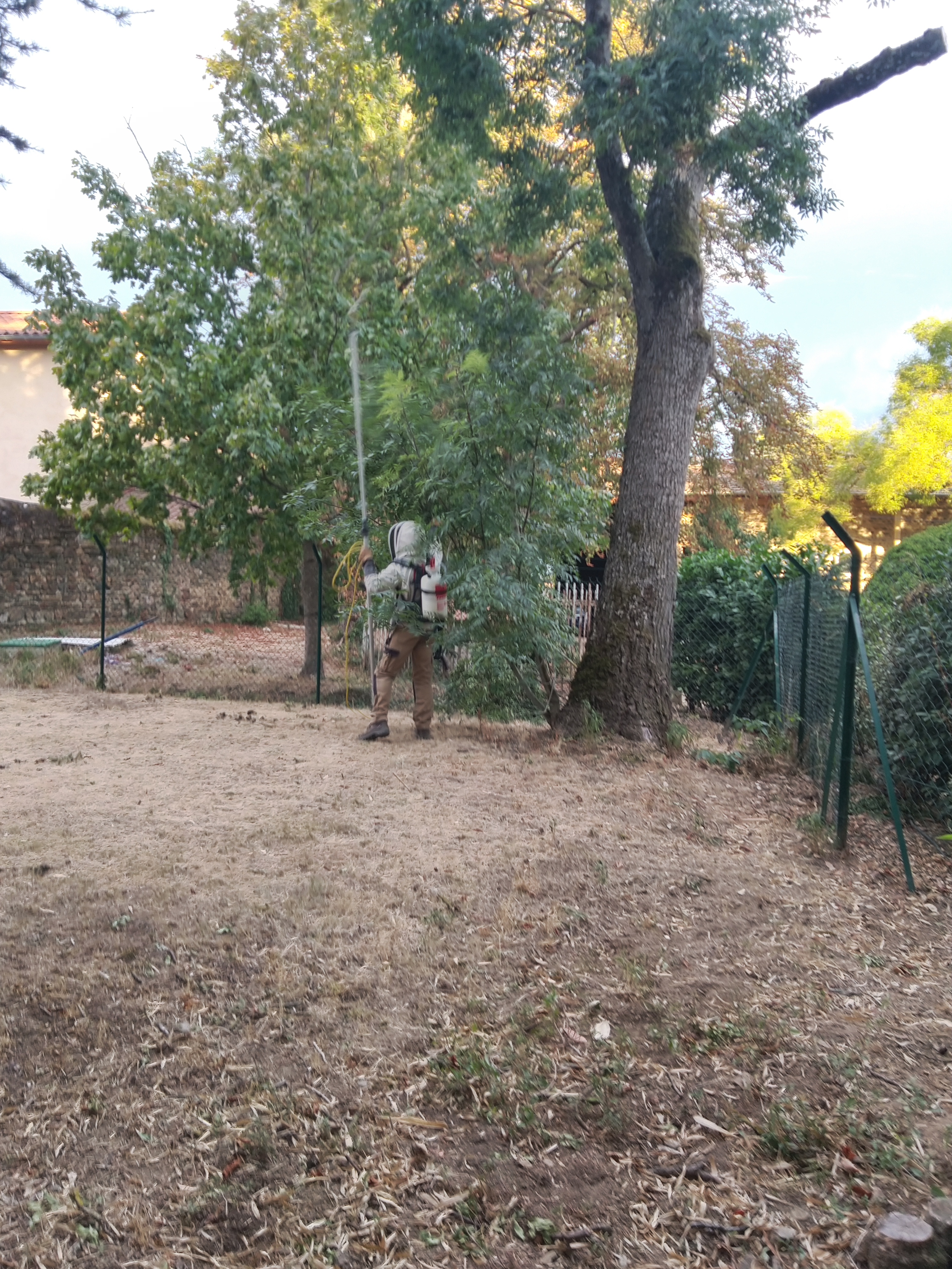 Photo n° 4 de l'avis de frederic.e fait le 28/08/2020 à 07:54