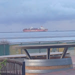 Photo n°3 de l'avis de Sol. fait le 09/08/2023 à 07:49 sur le  Beach House - Restaurant, Cafe, Bar à Cuxhaven