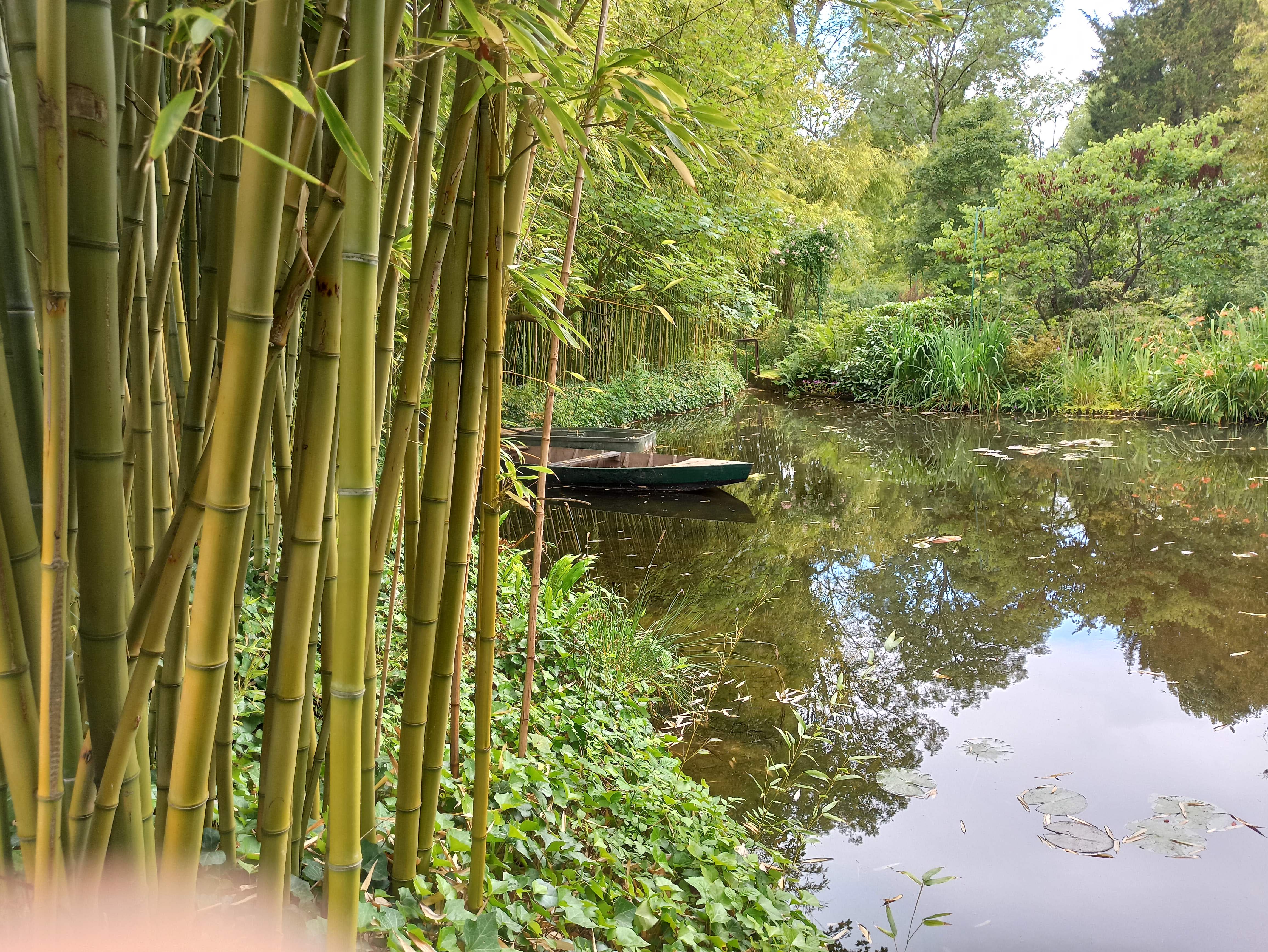 Photo n° 5 de l'avis de flo.a fait le 22/06/2020 à 13:02